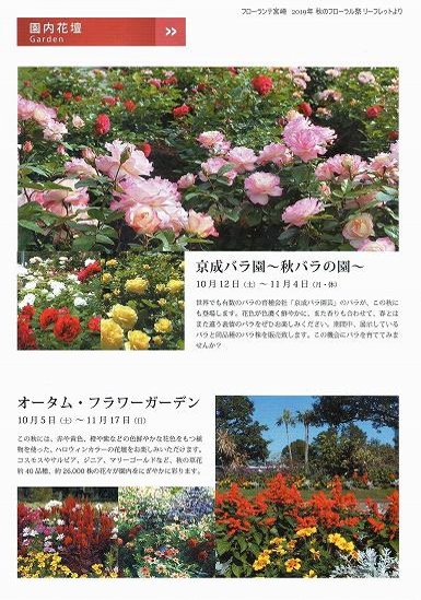 フローランテ宮崎　2019年 秋のフローラル祭　【2】園内花壇