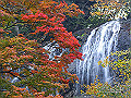 宮崎県写真壁紙（白滝と紅葉）　p_miyazaki_11_002_s.jpg