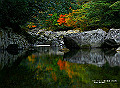宮崎県写真壁紙（紅葉　クルソン峡）　p_miyazaki_11_008_s.jpg