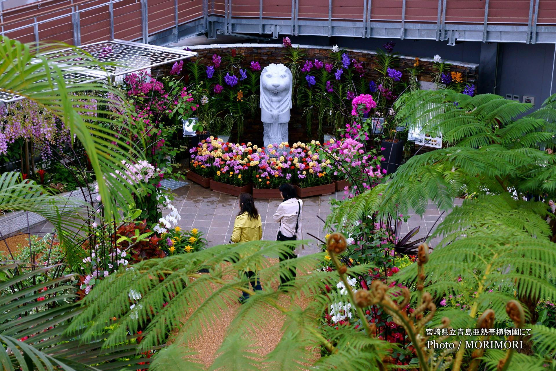 マーライオン Merlion 青島亜熱帯植物園 宮交ボタニックガーデン青島 大温室にて